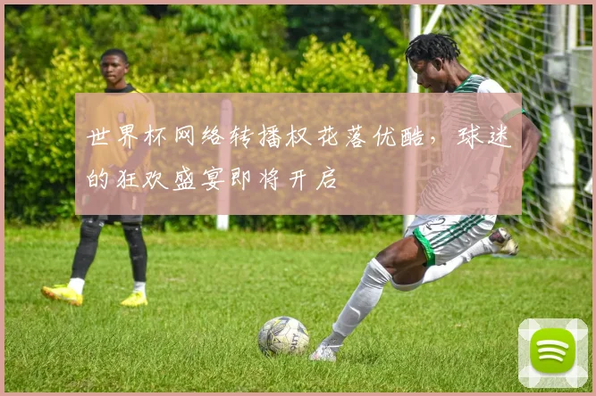 世界杯网络转播权花落优酷，球迷的狂欢盛宴即将开启