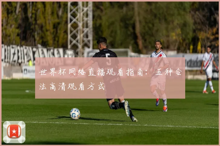 世界杯网络直播观看指南：五种合法高清观看方式