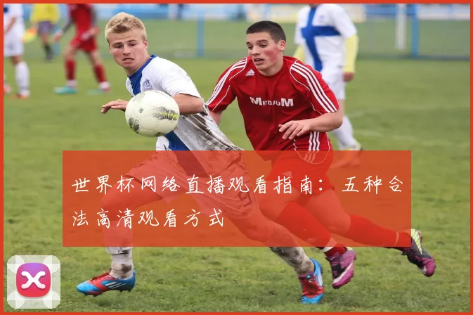 世界杯网络直播观看指南：五种合法高清观看方式