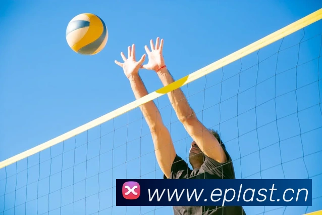 App Interface Preview